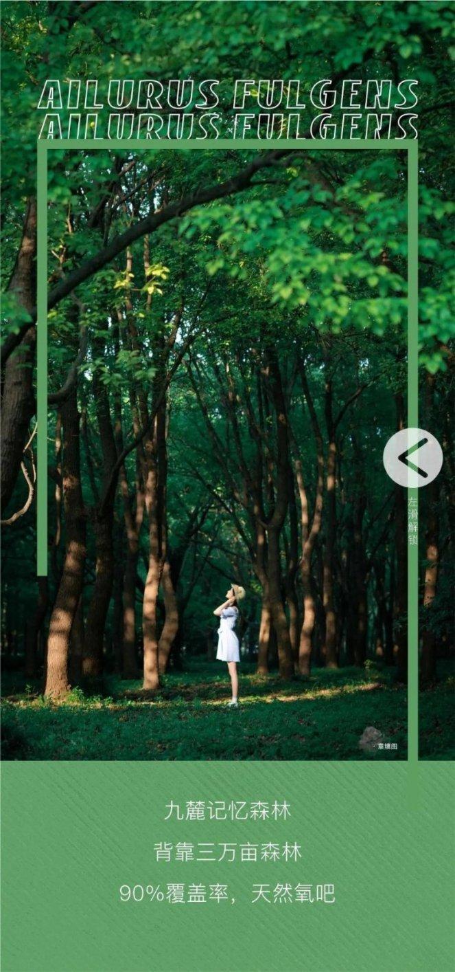 如果你是一个晚癌患者，你会接受治疗，还是随遇而安？游戏画面